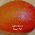 Cafemania - マッシュルーム