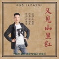 小国忠 - 又见山里红