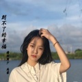 别说我的眼泪你无所谓 (ElectroMix)