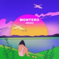 MONTERO (feat. ROCKI)