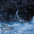 Sundays By The Ocean、Ocean Sounds FX、Ocean Sounds - Stream Black Rain