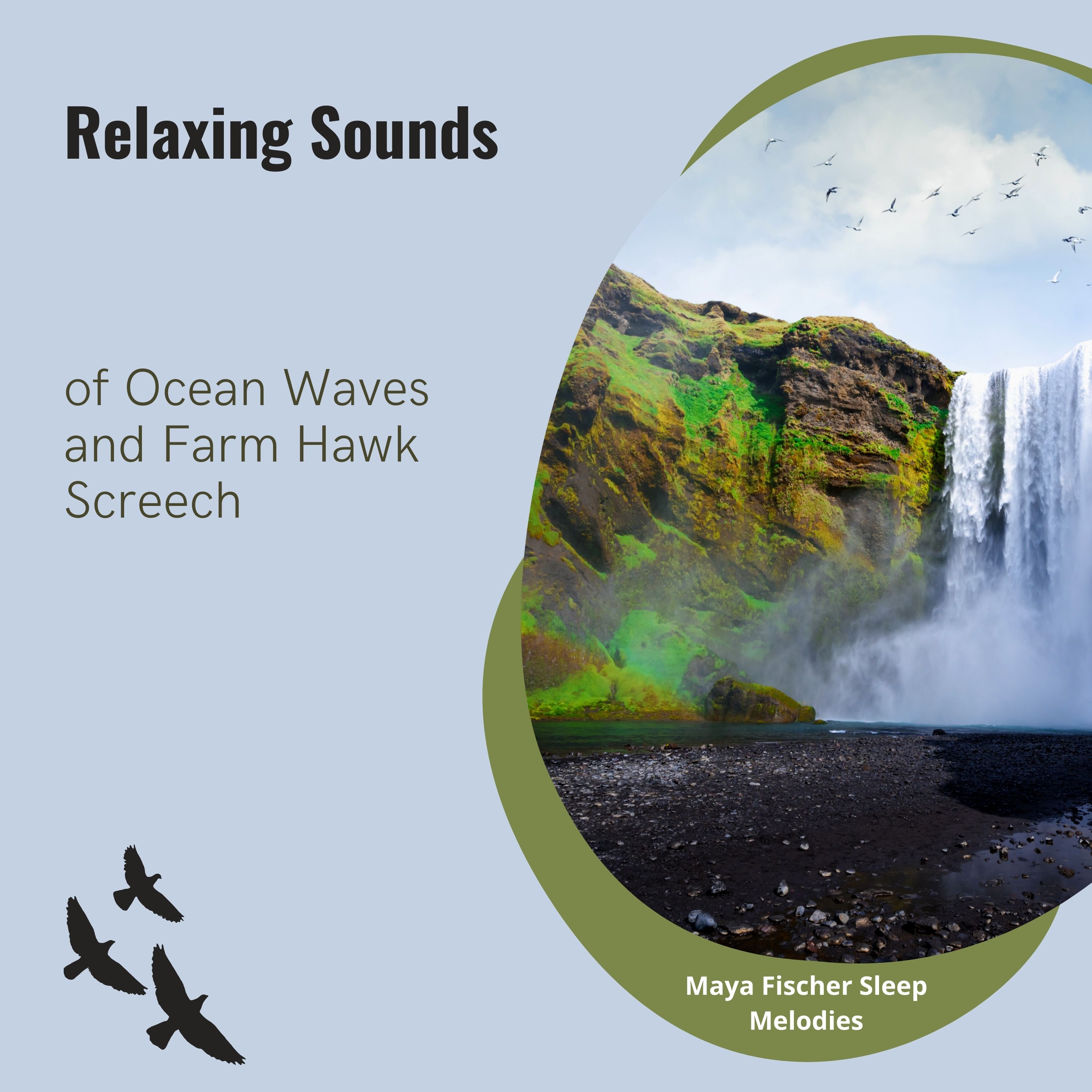 Relaxing Sounds of Ocean Waves and Farm Hawk Screech