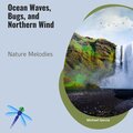 Ocean Waves, Bugs, and Northern Wind Nature Melodies