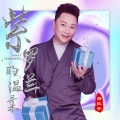 紫罗兰的温柔