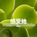 忆爱 (好听纯音乐)