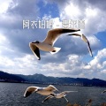 M.R.Y麦尔彦 - 甩葱歌2021 (DJ版)