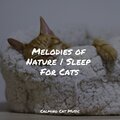 Melodies of Nature | Sleep For Cats