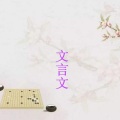 左右成妍 - 醉翁亭记