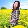 张艳 - 走天涯