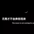 于新安 - 不再见