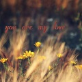 you are my love