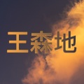 王森地