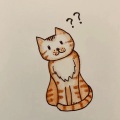 圆小乙 - 问花