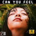 Can You Feel