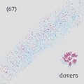Dovers - dive