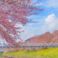 林曦 - 尾号6208