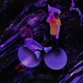 Yeat Archive、SeptembersRich - Been Off (feat. SeptembersRich)