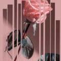 Kendall Starling、Tyl3r Davis - Bittersweet (feat. Tyl3r Davis)