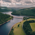 Spa Treatment、Rain Sounds、Peaceful Music - Chill River Sounds