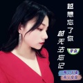 越想忘了你越无法忘记 (女声版)