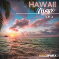 Ron Komie - Soaring to Maui