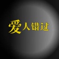 爱人就错过 (DJ版)