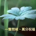 虾仁 - 月圆寄相思
