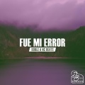 Fue Mi Error