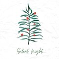 Joel Perez - Silent Night (Fingerstyle)