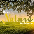 Some Nature Ambience