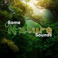 Some Nature Sounds、Some Nature Recordings、Some Nature Songs - Mighty Thunder and Rain