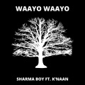 Waayo Waayo (feat. K'naan)