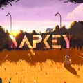 Napkey - Orange (Original Mix)
