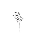 应有棠 - 秋分