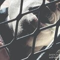 Smoke City (Explicit)