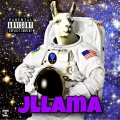 JLLAMA、TFE - Riiddaa