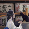喵酱 - 二零三
