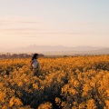 Bleue - Take It Slow