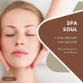 Spa Soul - Calm, Dreamy And Mellow Music For Relaxation And Reflextion, Vol. 30
