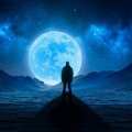 Crios Music、Adidas Wilson - Moonlight
