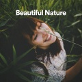 Nature Sounds Collection、Rain Is Good、Pure Nature - Relaxing Forest Ambience