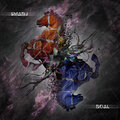 smadj - Csx