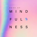 Mindfulness Mind Body Space、Rebirth Yoga Music Academy、Yin Yoga Music Collection - Partner Stimulation