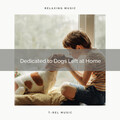 Sleeping Music For Dogs、Dog Music Therapy、Music for Dog's Ears - Lovely Dog Sweet Thoughts of Running Free