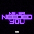 Never Needed You (feat. Yardboyk)