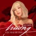 Văn Mai Hương - Hương (FeliksAlvinRemix)