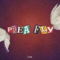 Bican - PREA FLY (Explicit)