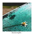 New 70s、Delie - SummerNights (Explicit)