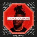 Afrikan Boy、Ghanaian Stallion - Cancel Culture (Explicit)