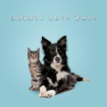Pet Music Academy、Calm Pets Music Academy、Calm Animals Music - Nail Trimming